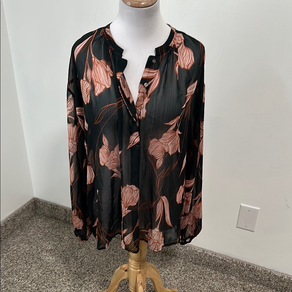 🦆 a new day Sheer Blouse